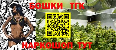 прущие грибы Краснознаменск