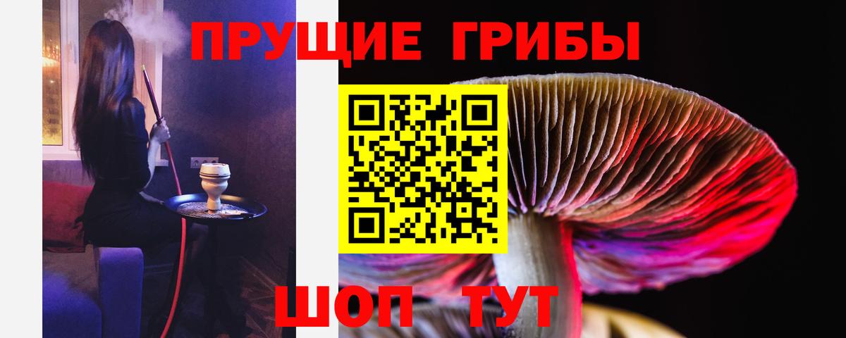 Галлюциногенные грибы мицелий  Псилоцибиновые грибы Cubensis  Коркино  Вход с VPN 